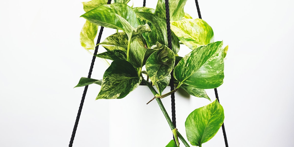 欧冠决赛赛后战报精彩图片集锦