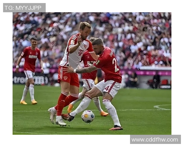 意甲激战:皇马逆转热刺5-1全场数据分析引发热烈讨论